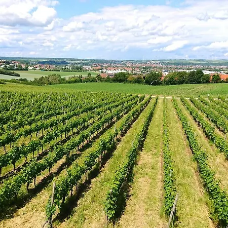 Weinbergshof Rickel