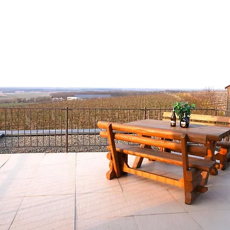 Appartement Weinbergshof Rickel Kitzingen