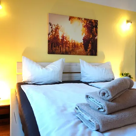 Weinbergshof Rickel Apartment *