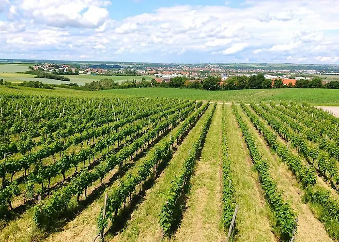 Weinbergshof Rickel