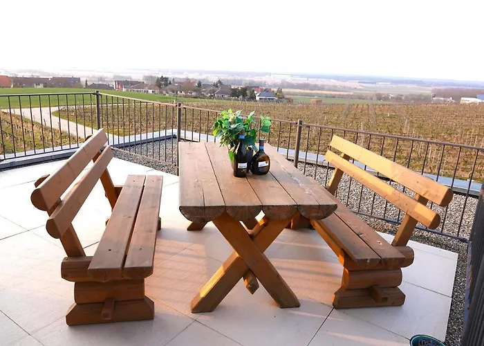 Apartment Weinbergshof Rickel